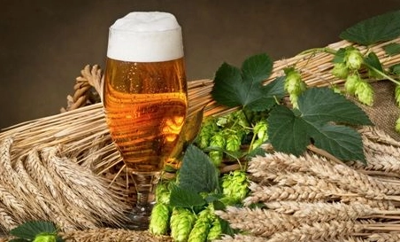 精釀啤酒中，如何選擇恰當(dāng)?shù)慕湻椒ǎ?> </a>
    </dt> 
    <dd> 
     <h4><a href=